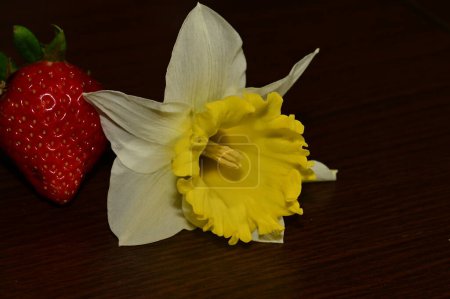 Foto de Hermosa flor y fresa sobre un fondo de madera - Imagen libre de derechos