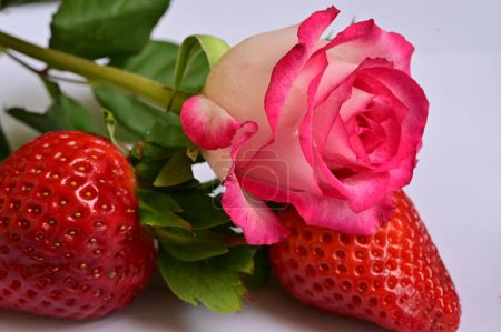 Photo for Bright  flower and fresh  strawberries - Royalty Free Image