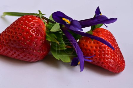 Téléchargez les photos : Bright  flower and fresh  strawberries - en image libre de droit