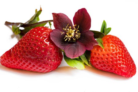 Téléchargez les photos : Fleurs brillantes et fraises - en image libre de droit