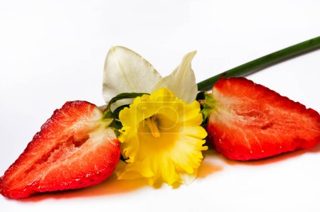 Photo for Bright daffodil flower and strawberries - Royalty Free Image