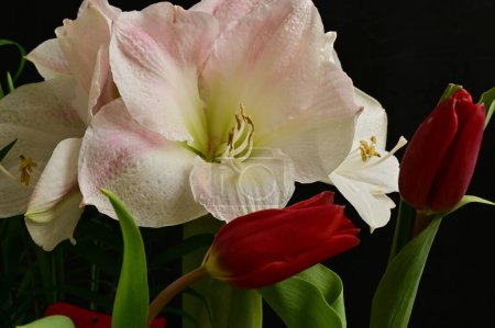Foto de Hermosa composición floral con flores - Imagen libre de derechos