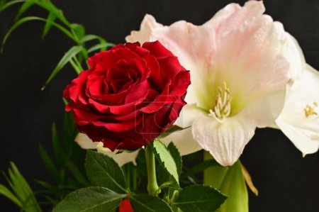 Téléchargez les photos : Belle composition florale avec des fleurs - en image libre de droit
