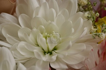 Foto de Beautiful flowers, floral composition  background - Imagen libre de derechos