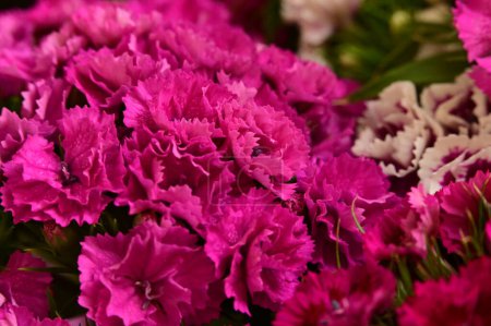 Photo for Beautiful bouquet of flowers, close up view - Royalty Free Image