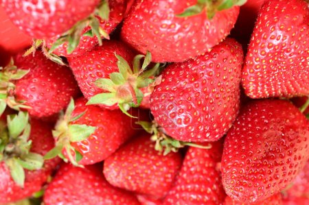 Photo for Strawberries background with strawberries. - Royalty Free Image