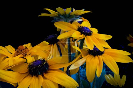 Téléchargez les photos : Belles fleurs lumineuses, gros plan - en image libre de droit