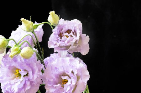 Foto de Hermoso ramo brillante de flores, de cerca - Imagen libre de derechos