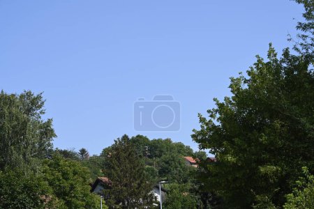 Photo for View of landscape with buildings and trees - Royalty Free Image