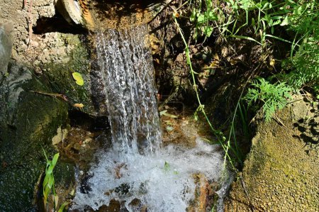 Téléchargez les photos : Belle cascade en forêt - en image libre de droit
