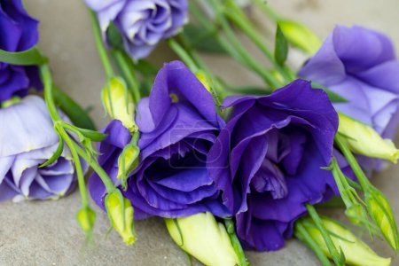Téléchargez les photos : Beau bouquet de fleurs d'eustomes bleues - en image libre de droit