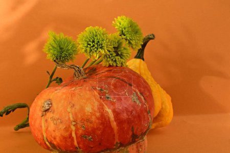 Photo for Pumpkins and flowers close up view, halloween concept - Royalty Free Image