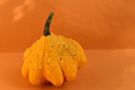 Téléchargez les photos : Petite citrouille jaune, décoration d'Halloween. - en image libre de droit