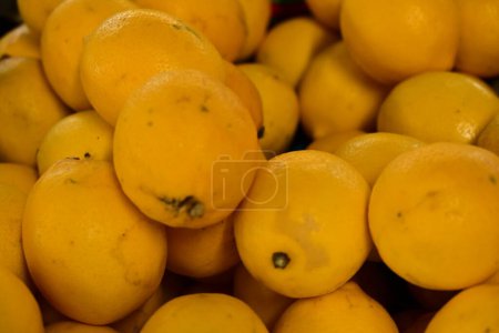 Téléchargez les photos : Gros plan d'un citron frais jaune - en image libre de droit