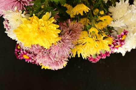 Photo for Close up of beautiful chrysanthemums, flowers - Royalty Free Image