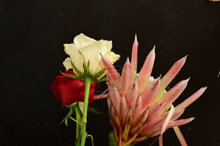 Foto de Primer plano de ramo de flores hermosas - Imagen libre de derechos