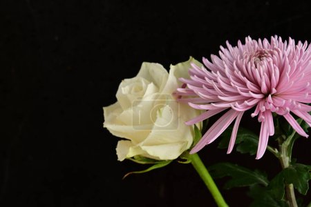 Foto de Primer plano de hermosas flores - Imagen libre de derechos