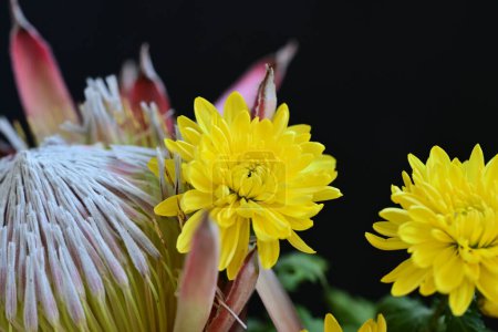 Foto de Primer plano de ramo de flores hermosas - Imagen libre de derechos
