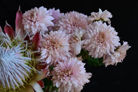 Téléchargez les photos : Belles fleurs, fond floral et nature - en image libre de droit