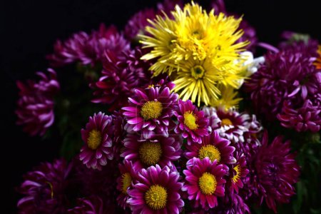 Téléchargez les photos : Belles fleurs, vue rapprochée - en image libre de droit