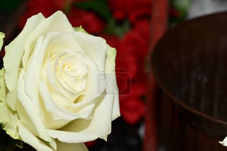 Téléchargez les photos : Gros plan de beau bouquet de fleurs - en image libre de droit