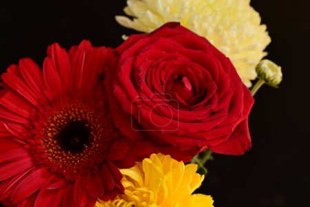 Téléchargez les photos : Gros plan de belles fleurs lumineuses sur fond sombre - en image libre de droit