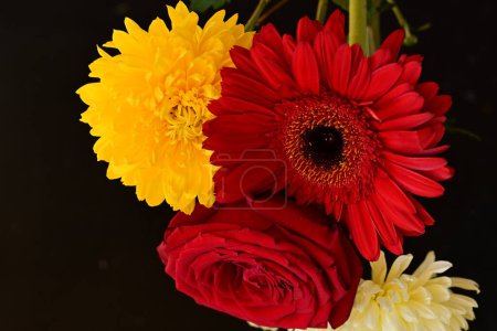 Photo for Beautiful flowers on dark background, summer concept, close view - Royalty Free Image