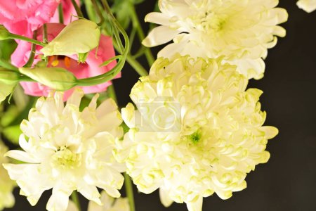 Téléchargez les photos : Belles fleurs, concept floral, fond sombre - en image libre de droit