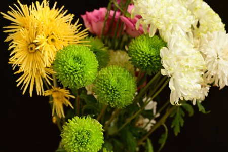 Téléchargez les photos : Belles fleurs, concept floral, fond sombre - en image libre de droit