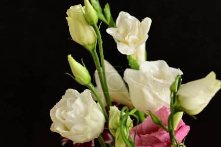 Photo for Beautiful bouquet of flowers - Royalty Free Image