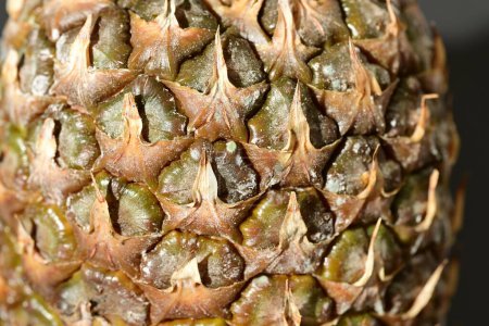Photo for Close - up of a pineapple - Royalty Free Image