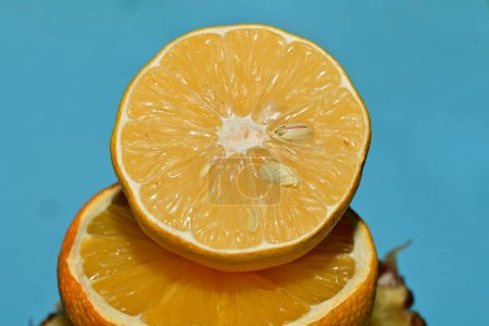 Téléchargez les photos : Oranges mûres fraîches, fruits sur fond de studio - en image libre de droit