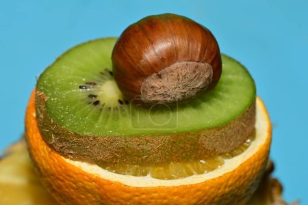 Photo for Orange, kiwi, chestnut fresh ripe fruits on studio background - Royalty Free Image