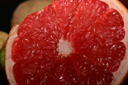 Photo for Close up of a red grapefruit - Royalty Free Image
