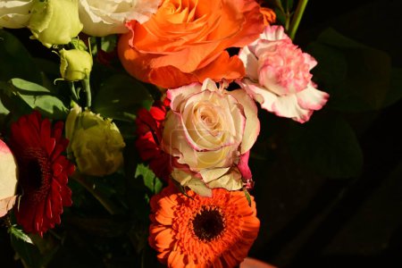 Téléchargez les photos : Gros plan de belles fleurs sur fond noir - en image libre de droit