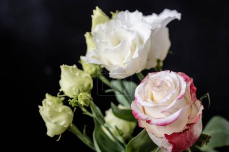 Téléchargez les photos : Gros plan de belles fleurs lumineuses - en image libre de droit