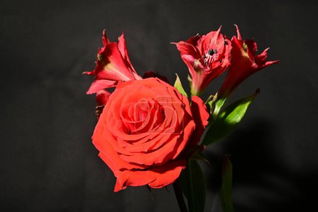 Foto de Hermosas flores brillantes, vista de cerca - Imagen libre de derechos