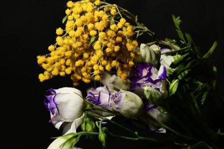 Téléchargez les photos : Bouquet de belles fleurs printanières sur fond sombre, gros plan, vue sur le dessus - en image libre de droit