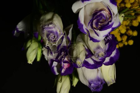 Téléchargez les photos : Bouquet de belles fleurs printanières sur fond sombre, gros plan, vue sur le dessus - en image libre de droit