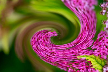 Foto de Flores abstractas con efecto de desenfoque de movimiento - Imagen libre de derechos