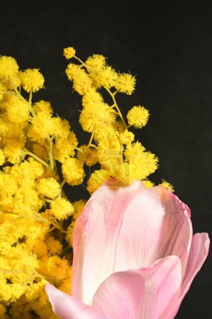 Photo for Close up pink tulip flower with yellow gypsophila - Royalty Free Image
