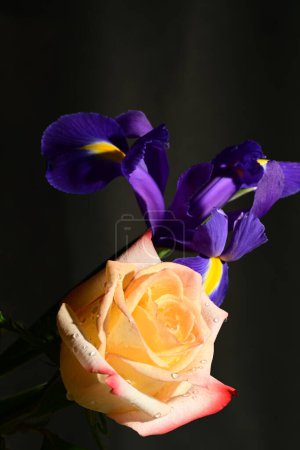 Foto de Hermoso ramo de flores sobre fondo negro - Imagen libre de derechos
