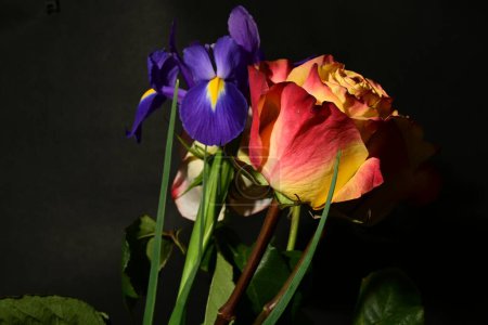 Téléchargez les photos : Beau bouquet de fleurs sur fond noir - en image libre de droit