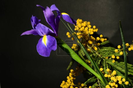 Foto de Hermoso ramo de flores sobre fondo negro - Imagen libre de derechos
