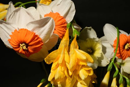 Foto de Primer plano de hermoso ramo de primavera brillante de flores - Imagen libre de derechos