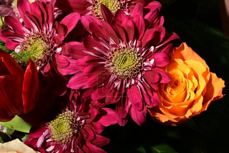 Foto de Primer plano de hermoso ramo brillante de flores - Imagen libre de derechos