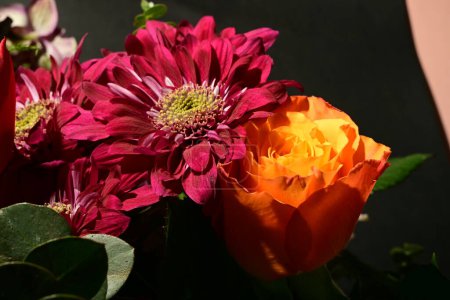 Téléchargez les photos : Gros plan de beau bouquet lumineux de fleurs, plan studio - en image libre de droit