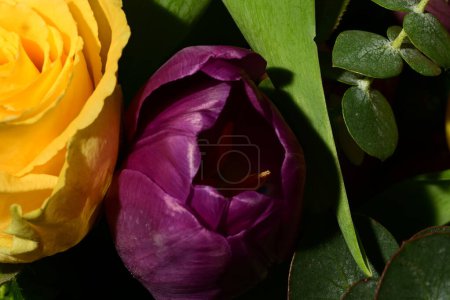 Photo for Beautiful bright spring bouquet of flowers, studio shot - Royalty Free Image