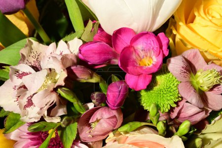 Téléchargez les photos : Beau bouquet lumineux de fleurs, plan studio - en image libre de droit