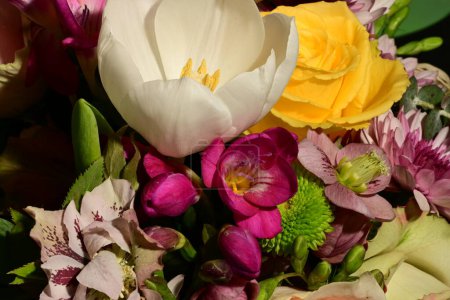 Téléchargez les photos : Beau bouquet printanier lumineux de fleurs, plan studio - en image libre de droit